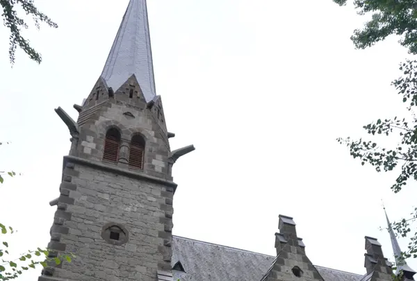 Café Darlingの写真・動画_image_464420