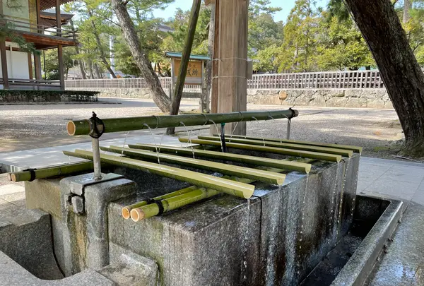 出雲大社の写真・動画_image_464450