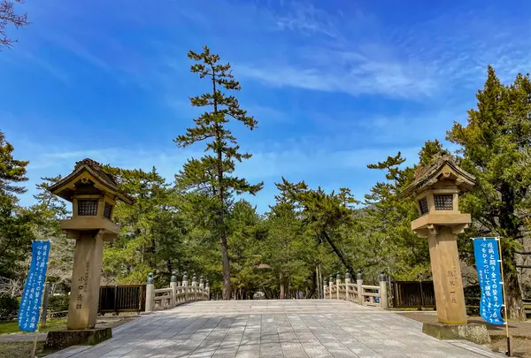 出雲大社の写真・動画_image_464452