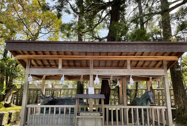 出雲大社の写真・動画_image_464453