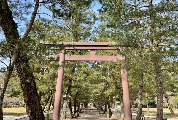 出雲大社の写真・動画_image_464456