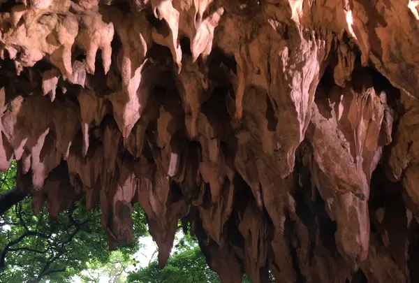 ガンガラーの谷の写真・動画_image_464561