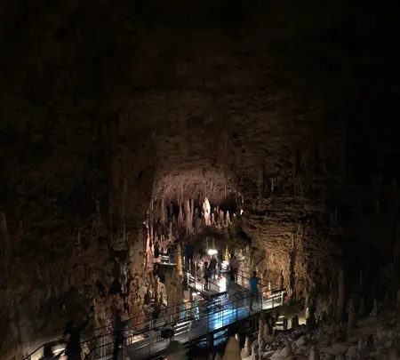 おきなわワールド　文化王国・玉泉洞の写真・動画_image_464564