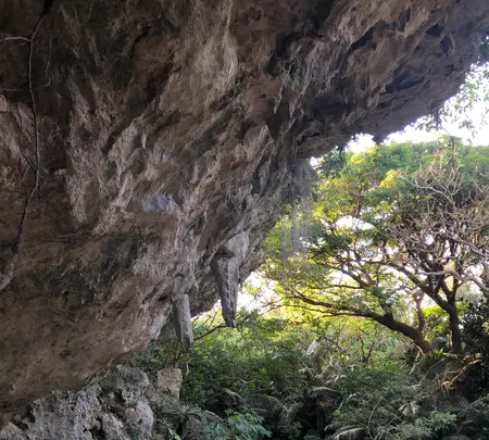 斎場御嶽の写真・動画_image_464583