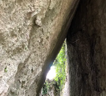 斎場御嶽の写真・動画_image_464584