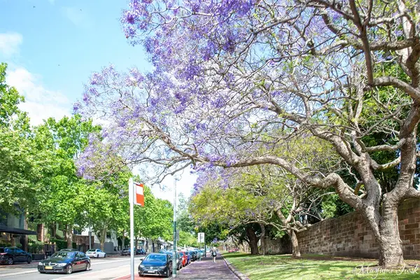 バラックス保護区の写真・動画_image_464607