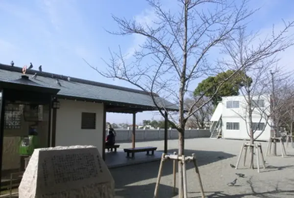 成田山不動尊（成田山大阪別院明王院）の写真・動画_image_464722