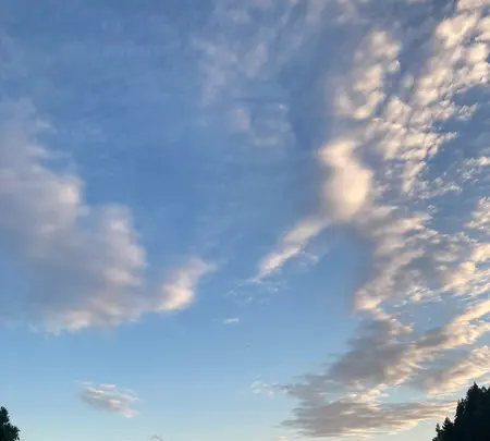 真脇ポーレポーレの写真・動画_image_464856