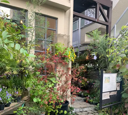 ヒトクサカタチ製作所の写真・動画_image_465160