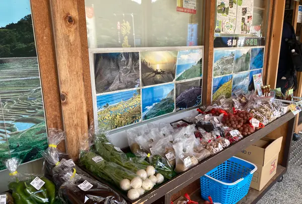 道の駅 千枚田ポケットパークの写真・動画_image_465234