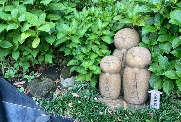 長谷寺の写真・動画_image_465299