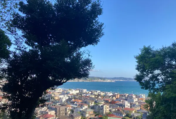 長谷寺の写真・動画_image_465300