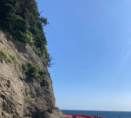 江の島岩屋の写真・動画_image_465374