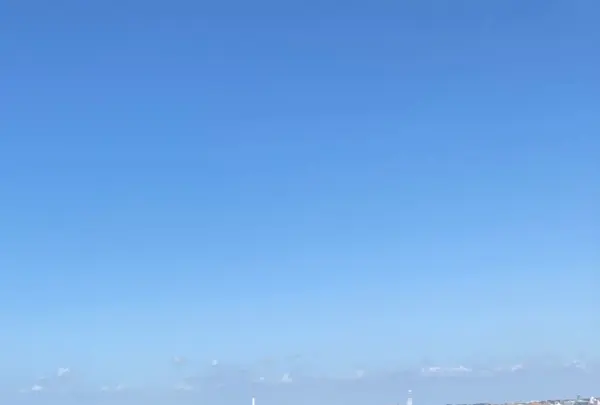 江之島亭の写真・動画_image_465383