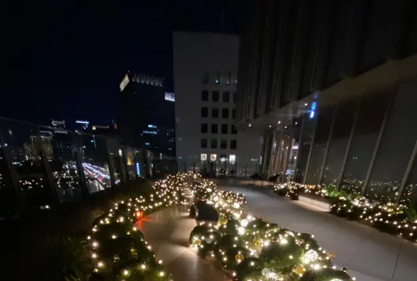 DRAWING HOUSE OF HIBIYAの写真・動画_image_465404