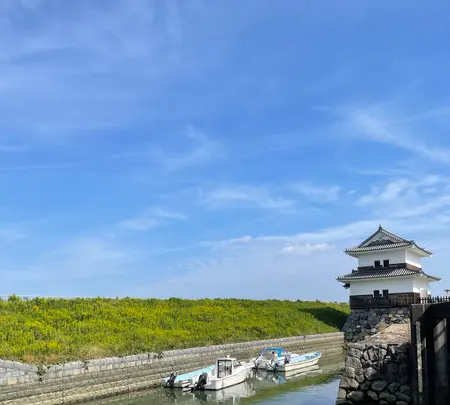 蟠龍櫓の写真・動画_image_465469