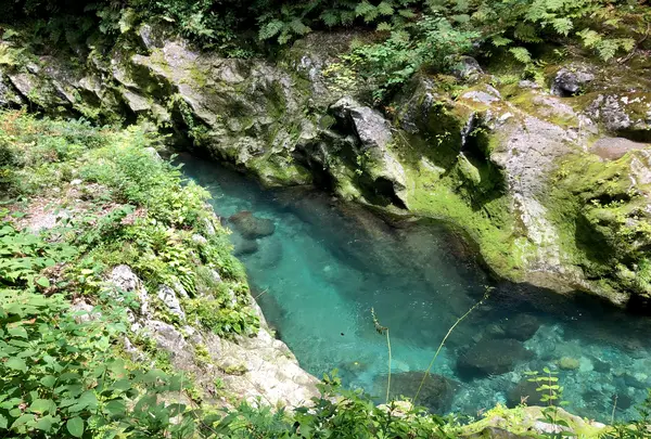 天安河原の写真・動画_image_465488