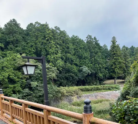 田村神社石鳥居の写真・動画_image_465575