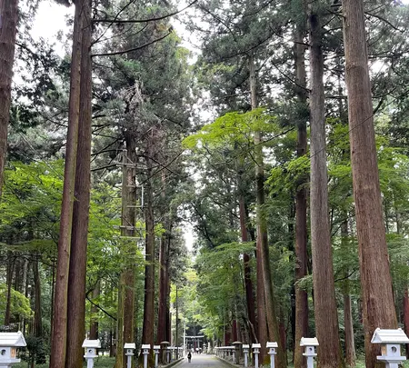 田村神社 拝殿の写真・動画_image_465580