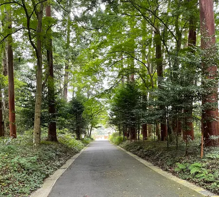 田村神社 拝殿の写真・動画_image_465581