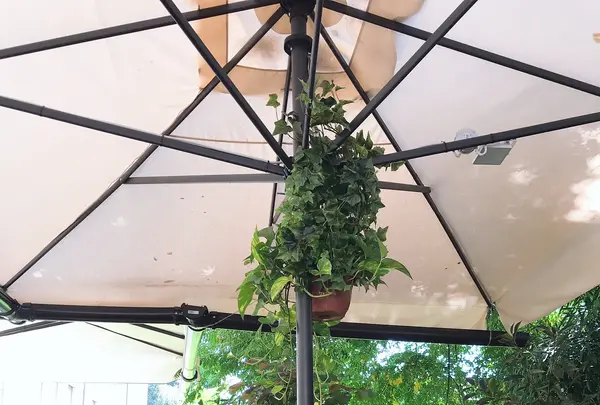 Locanda degli Scaligeriの写真・動画_image_465690