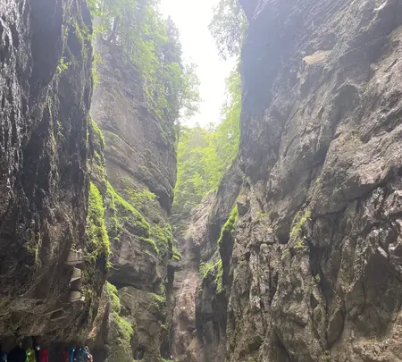 Partnachklammの写真・動画_image_465890