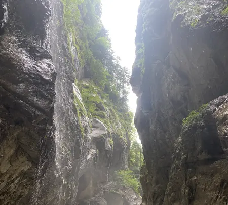 Partnachklammの写真・動画_image_465892