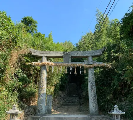 壱岐國一之宮 天手長男神社の写真・動画_image_466043