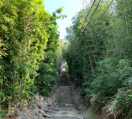 壱岐國一之宮 天手長男神社の写真・動画_image_466044