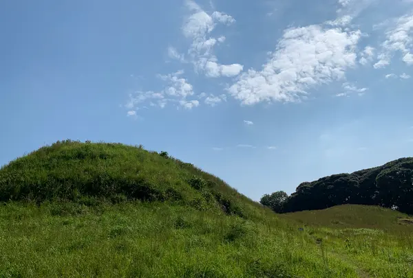 双六古墳の写真・動画_image_466046
