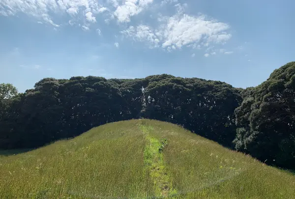 双六古墳の写真・動画_image_466047