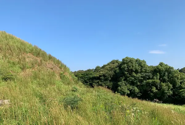 双六古墳の写真・動画_image_466048
