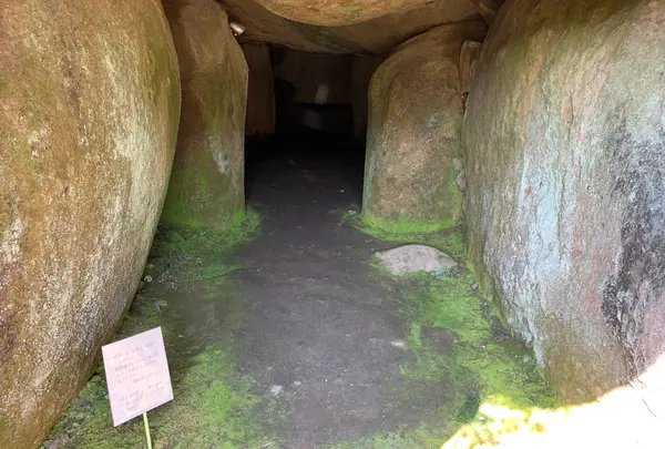 掛木古墳の写真・動画_image_466113