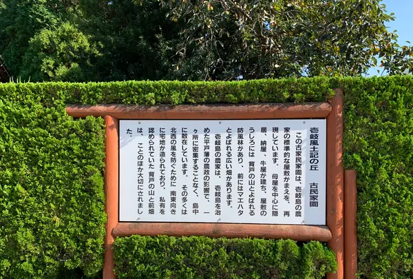 壱岐風土記の丘の写真・動画_image_466126
