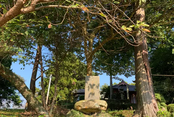 新城神社の写真・動画_image_466132