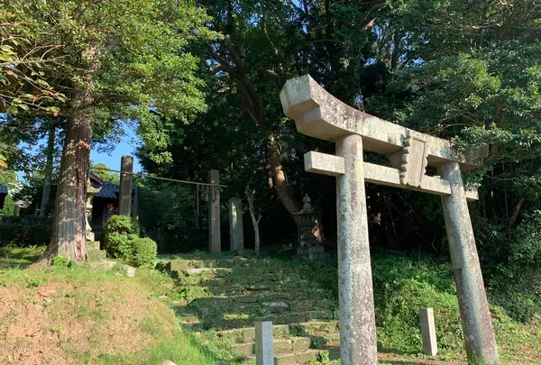 新城神社の写真・動画_image_466133