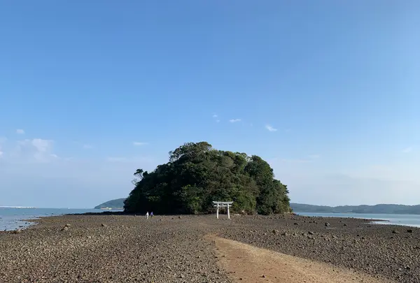 小島神社の写真・動画_image_466139