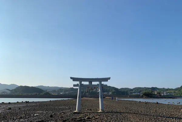 小島神社の写真・動画_image_466141