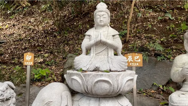 水澤観世音（水澤寺）の写真・動画_image_466282