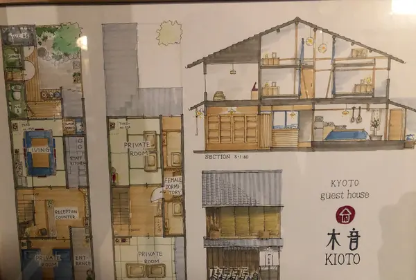 木音の写真・動画_image_466302