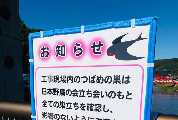 諏訪湖の写真・動画_image_467111