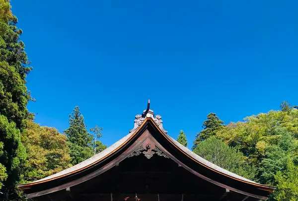 諏訪大社下社秋宮の写真・動画_image_467149