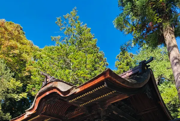 諏訪大社下社秋宮の写真・動画_image_467152