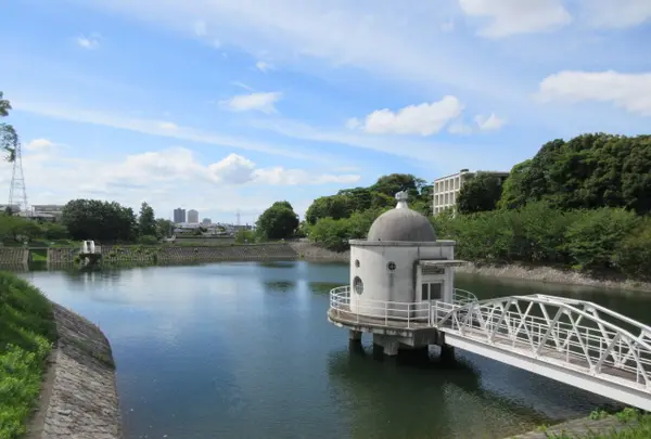 城山ニテコ公園の写真・動画_image_467297