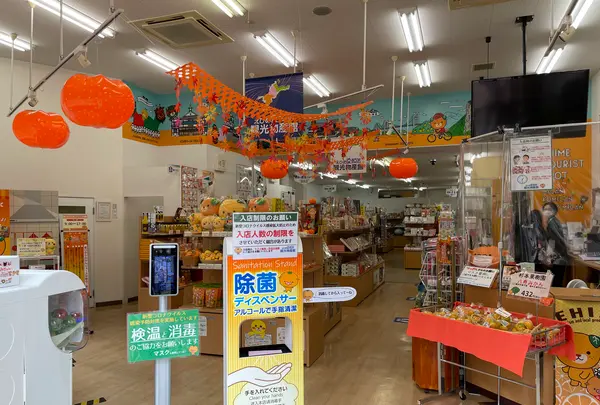 えひめ愛顔（えがお）の観光物産館の写真・動画_image_468103