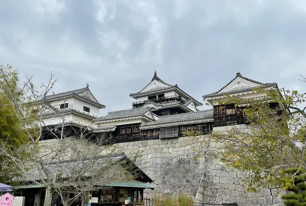 松山城の写真・動画_image_468114