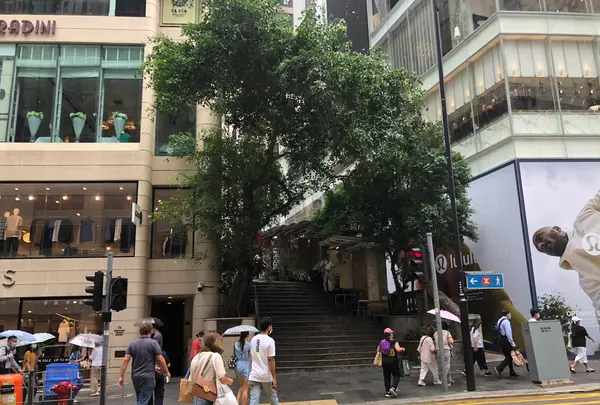 泰昌餅家（Tai Cheong Bakery）の写真・動画_image_468634
