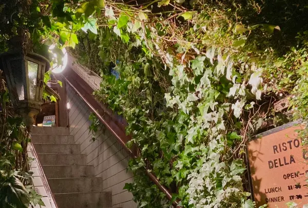 デラコリーナの写真・動画_image_469025