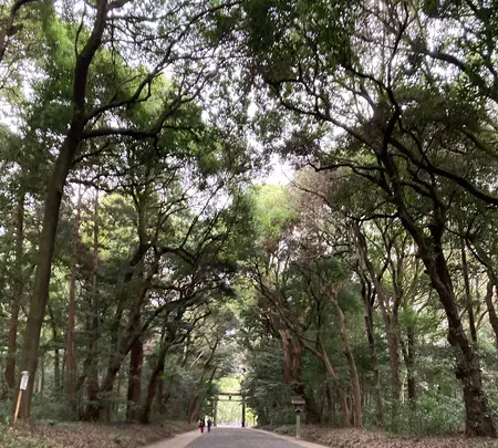 明治神宮の写真・動画_image_469230