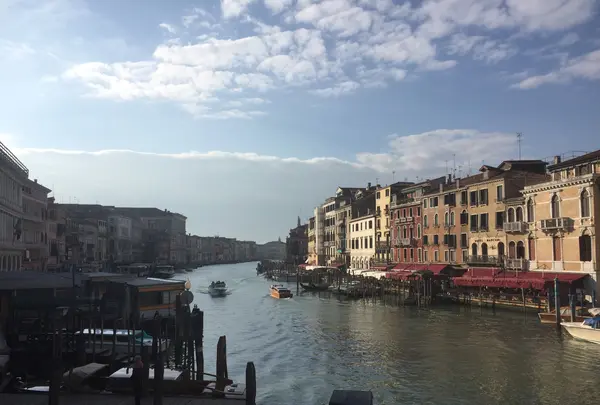 Ponte di Rialto （リアルト橋）の写真・動画_image_469565
